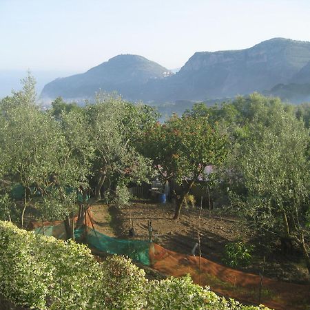 Hotel Royal Hills Piano di Sorrento Exterior photo