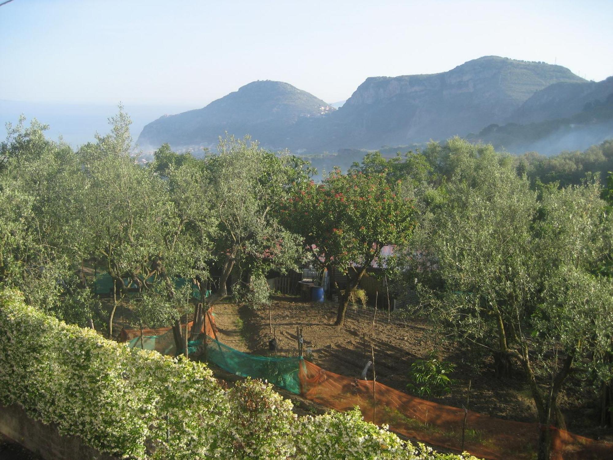 Hotel Royal Hills Piano di Sorrento Exterior photo